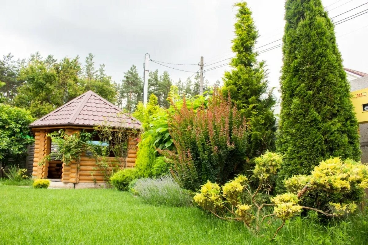 https://perm.tgv-stroy.ru/storage/app/uploads/public/637/ef4/fb3/637ef4fb3605f391429275.png
